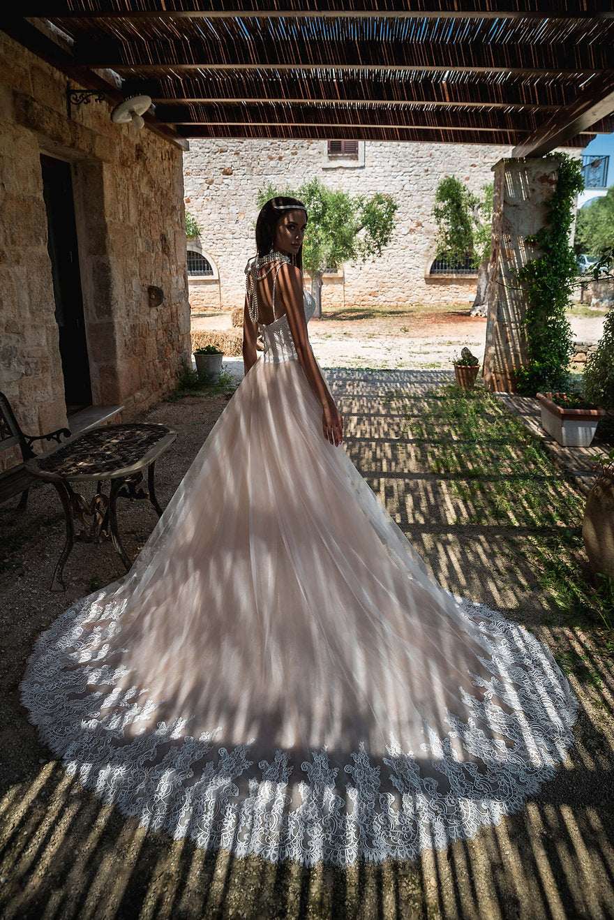 Diletta