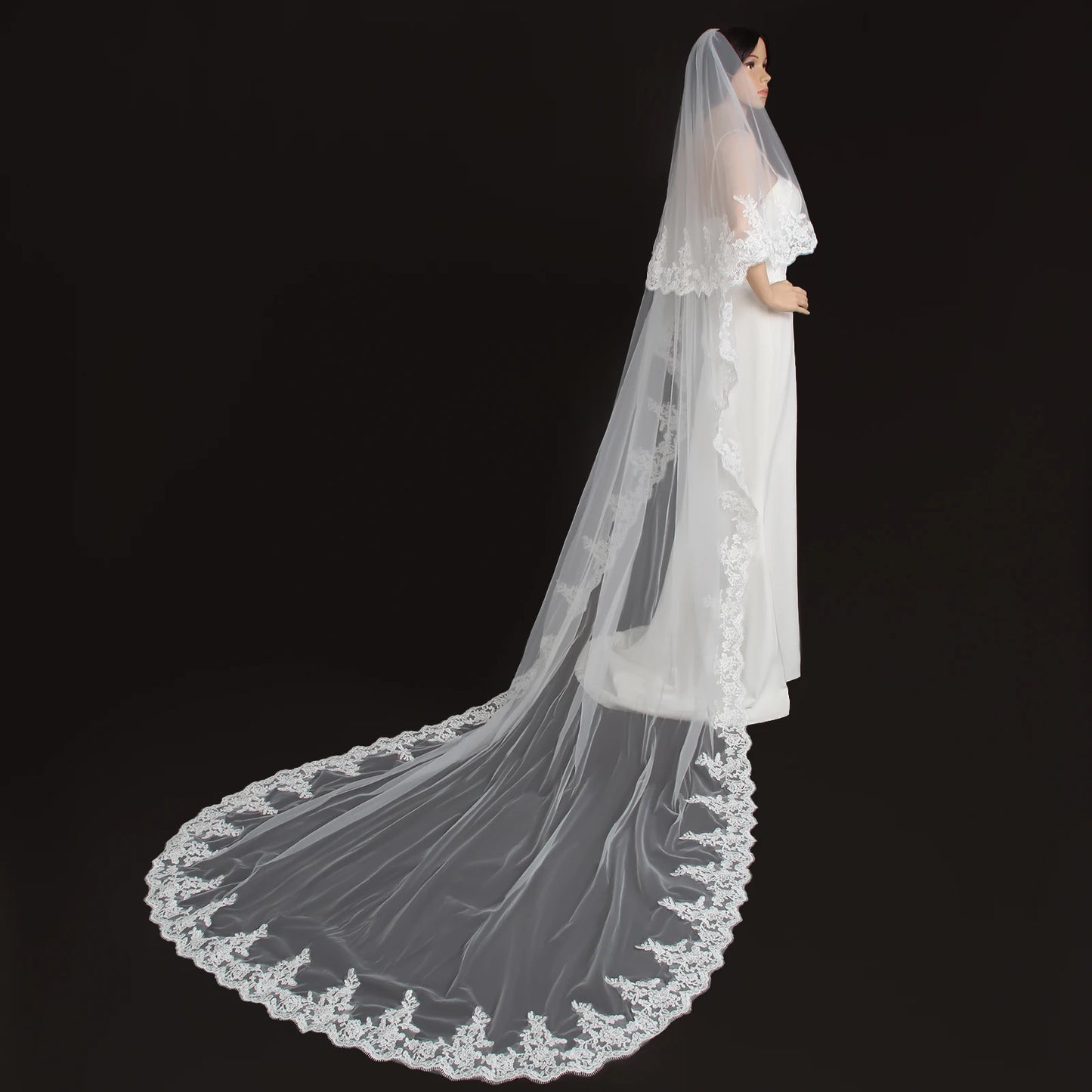 Cathedral Length Bridal Veil with Intricate Lace 2 Tier Wedding Veil