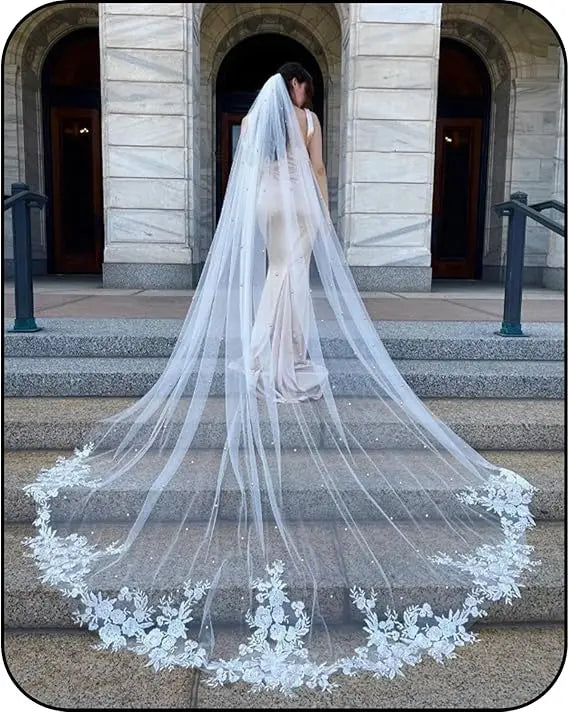 Cathedral Wedding Veil Elegant French Alencon Lace 3 Meters Long Embroidered Tulle Soft Bridal Veil with Comb (Ivory/White)