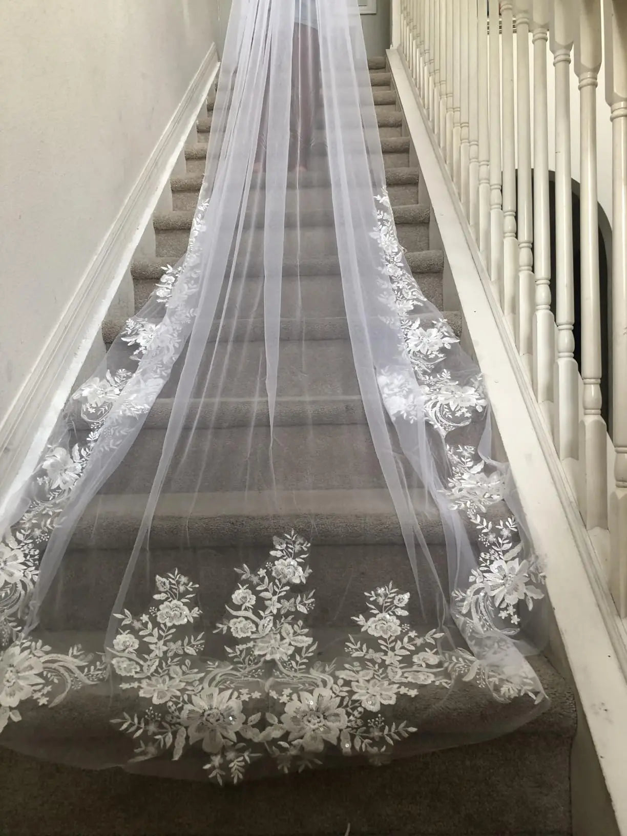 Cathedral Wedding Veil Elegant French Alencon Lace 3 Meters Long Embroidered Tulle Soft Bridal Veil with Comb (Ivory/White)