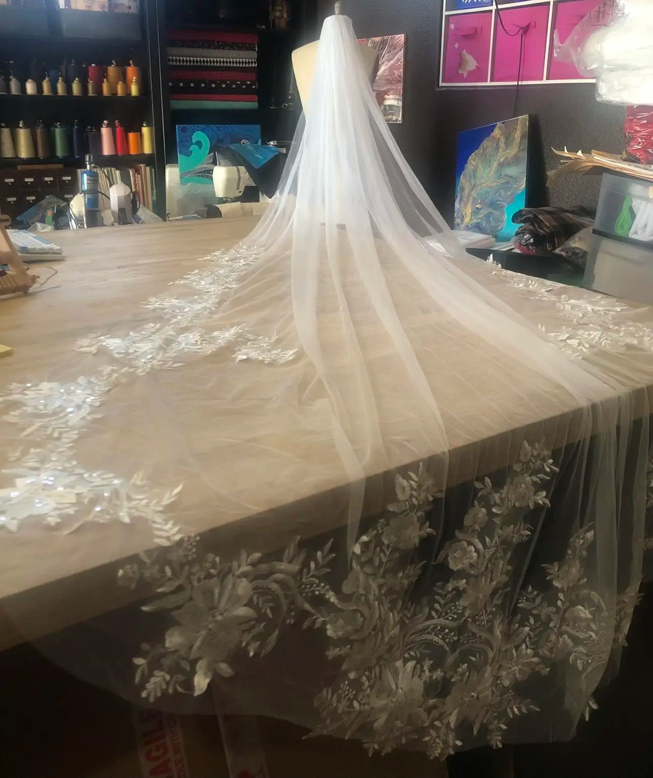 Cathedral Wedding Veil Elegant French Alencon Lace 3 Meters Long Embroidered Tulle Soft Bridal Veil with Comb (Ivory/White)