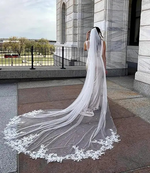 Cathedral Wedding Veil Elegant French Alencon Lace 3 Meters Long Embroidered Tulle Soft Bridal Veil with Comb (Ivory/White)