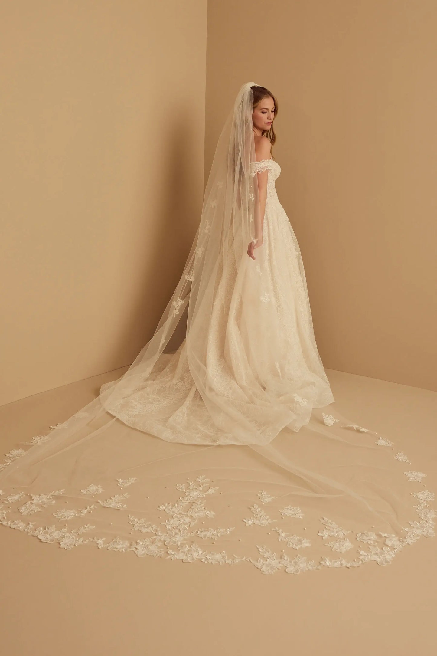 Cathedral Wedding Veil Elegant French Alencon Lace 3 Meters Long Embroidered Tulle Soft Bridal Veil with Comb (Ivory/White)