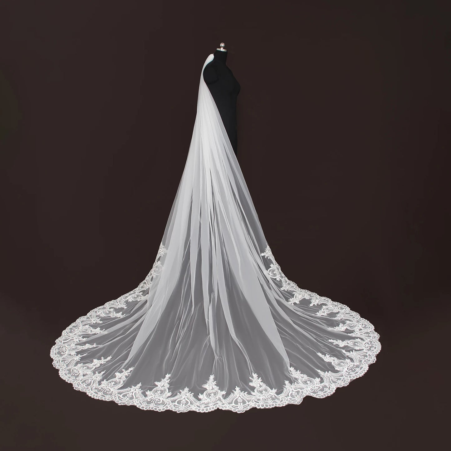 Cathedral Bridal Wedding Veil Lace Trimmed Luxurious 300cm Long Train