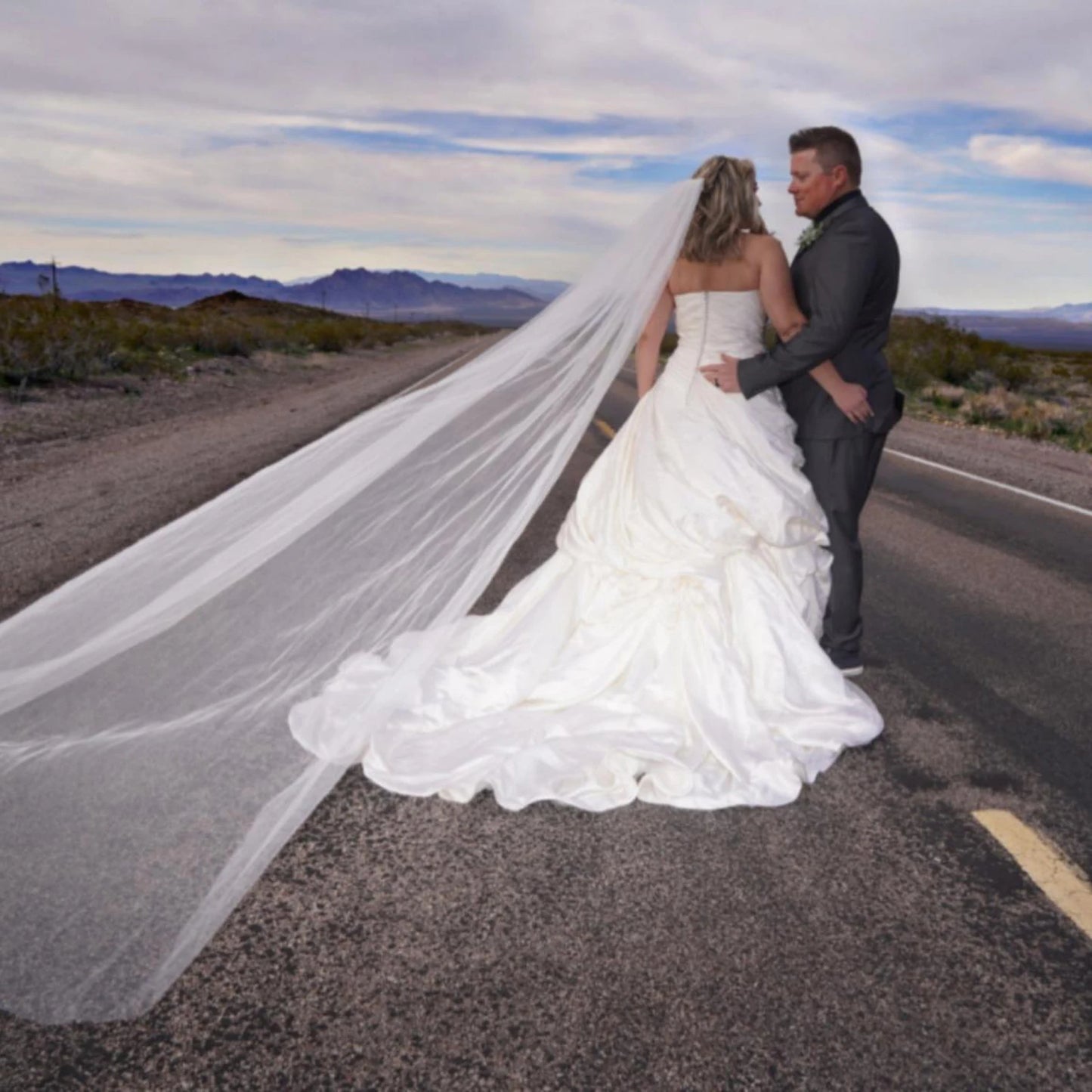 Elegant Single Tier Cathedral Wedding Veil with Comb Simple Cut Edge Long Bridal Tulle in Silk White Plain Soft Tulle G30