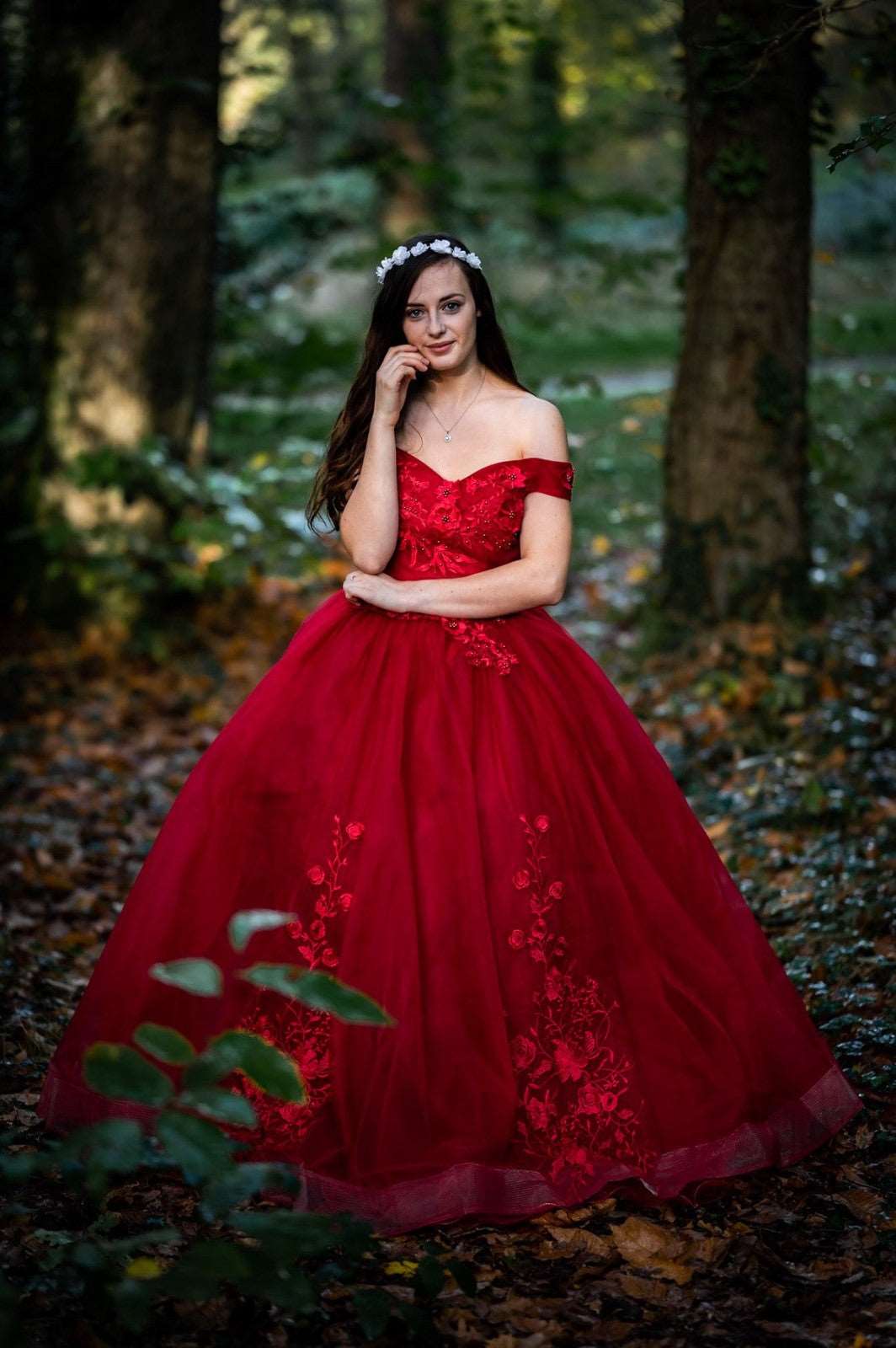 Off Shoulder Ball Gown Classic Lace Embroidery Vintage Evening Dresses Plus Size available - Blossom Wedding